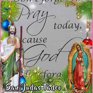 Meet your Posher, Marty